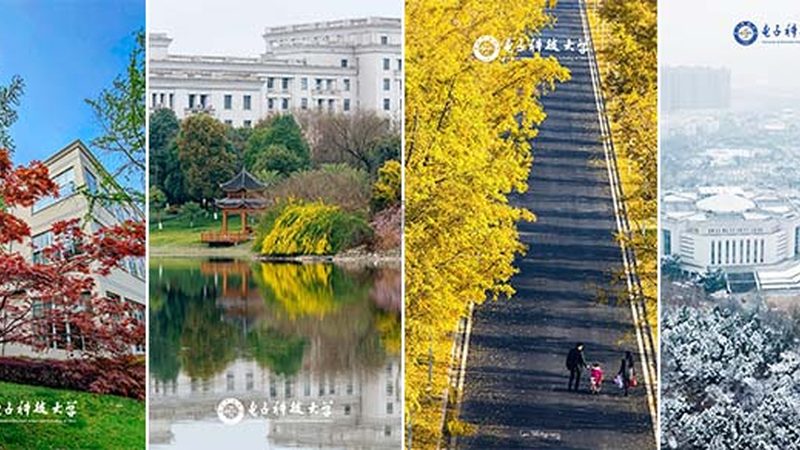 深圳三极管样品批发：揭秘三极管选型与采购要点
